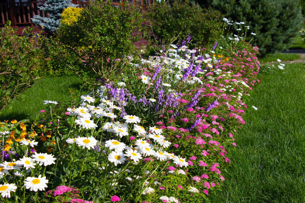 Сосновые берега