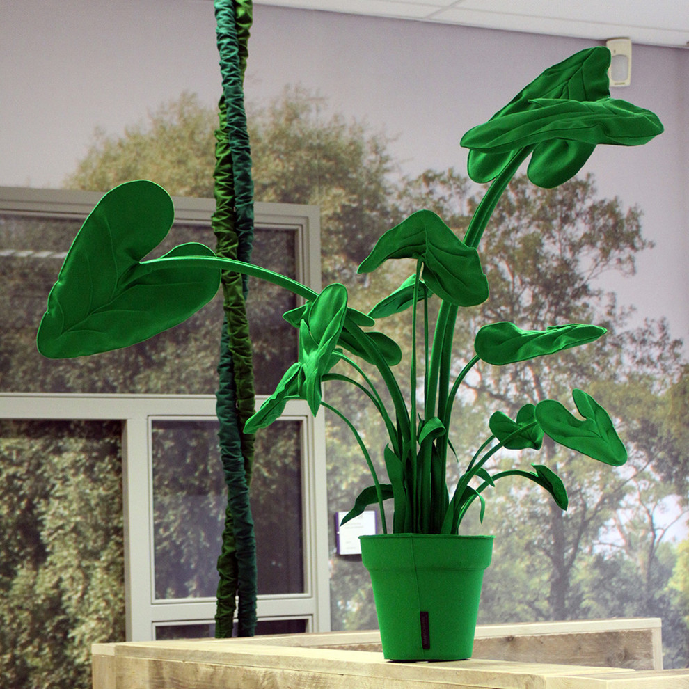 Микротренд: Цветы гиганты и мутанты