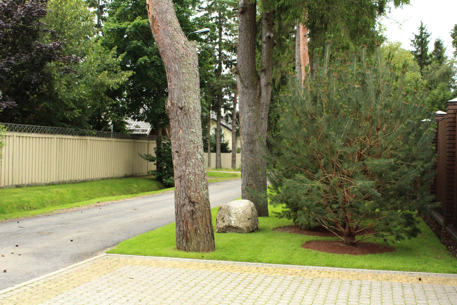 Обложка проекта: Солнечное