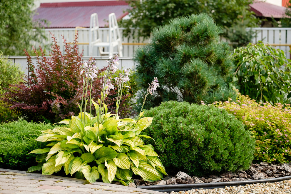 Сад с зеленой крышей