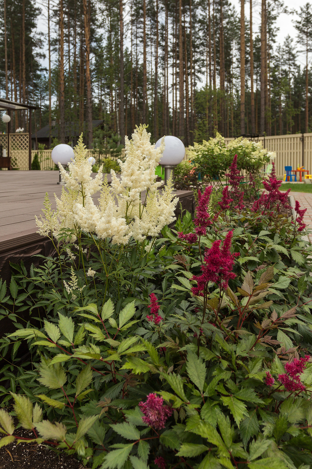 Как правильно: Сделать цветник из многолетников на скорую руку