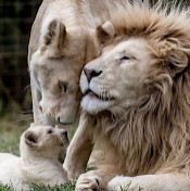 Анна Иванова