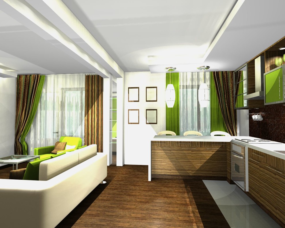 Обложка проекта: Единое пространство небольшой квартиры в 2-х вариантах