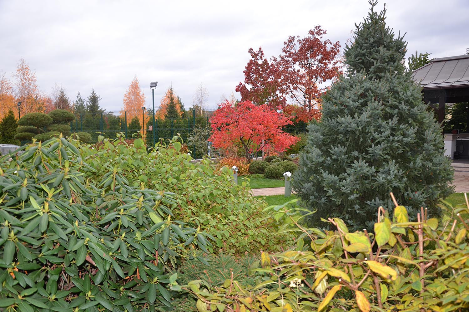 Современный сад в КП "Бенелюкс" вилла 1