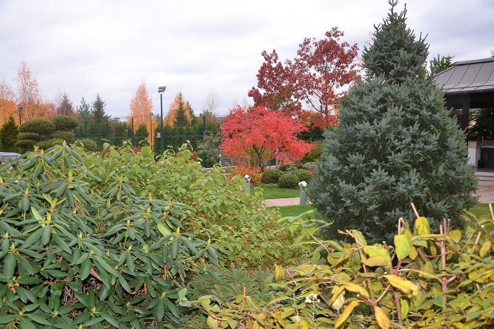 Современный сад в КП "Бенелюкс" вилла 1