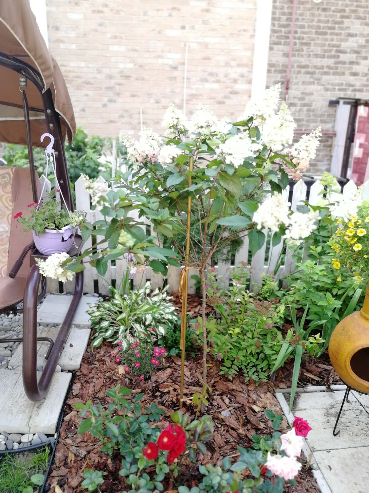 Реализация проект "Мечта"