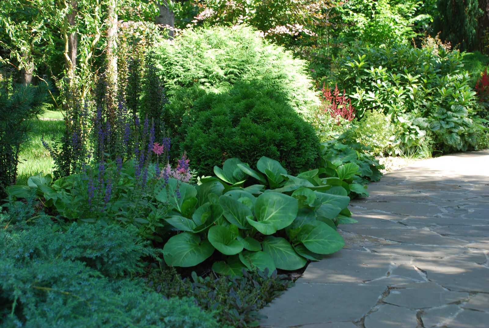 Лесной участок в КП "РИИТА"