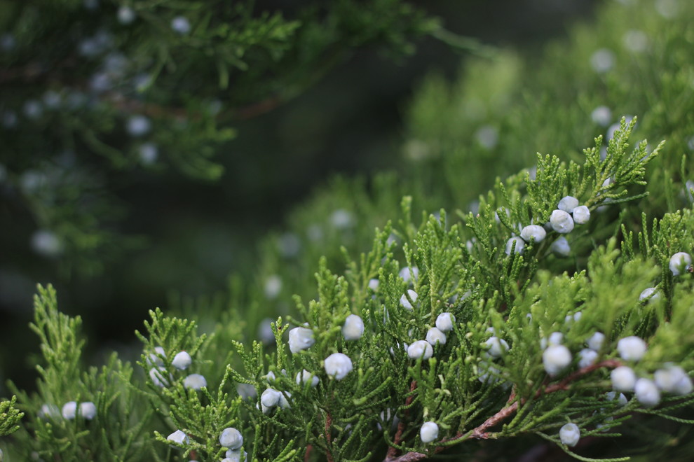 Ландшафт в деталях