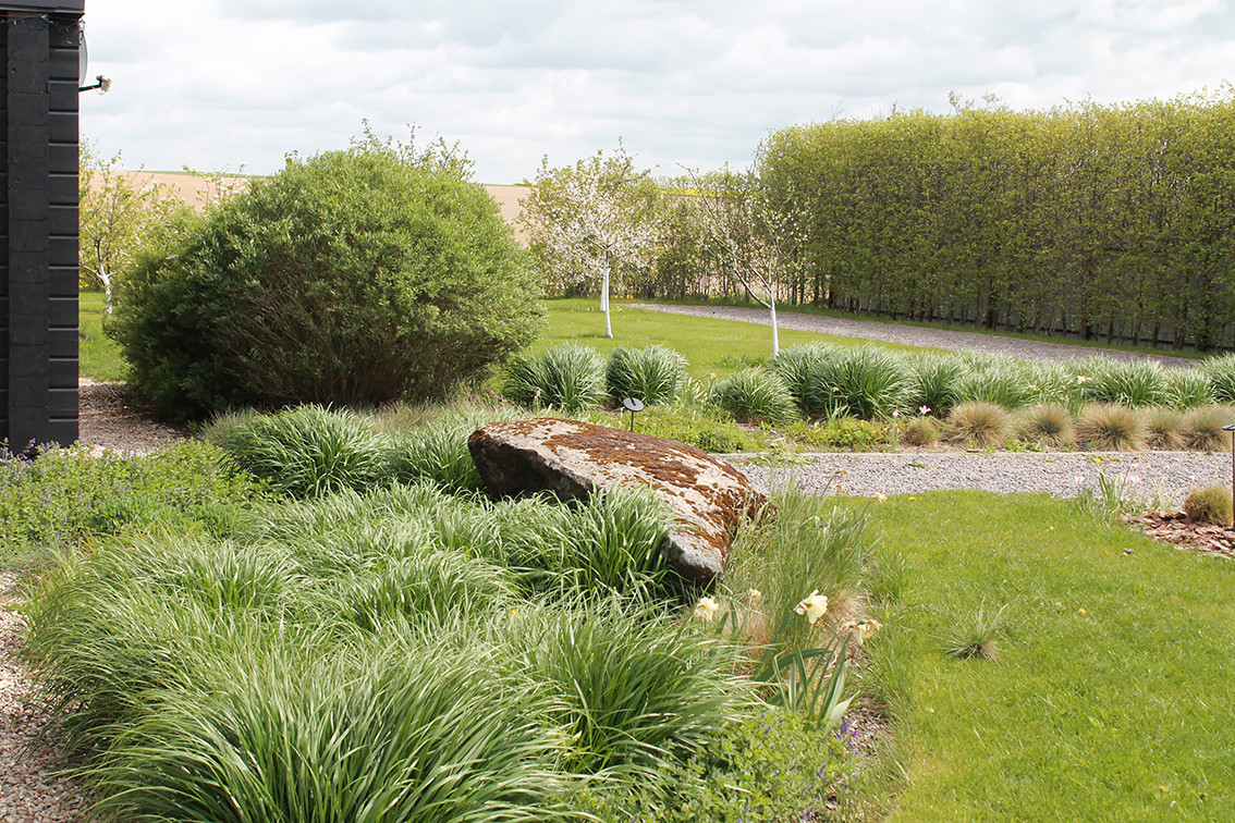 Houzz Белоруссия: Сад в тумане