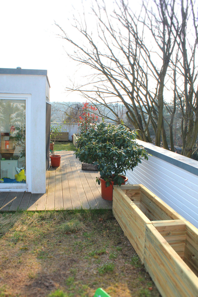 Houzz Германия: Цветущий сад на крыше в Берлине