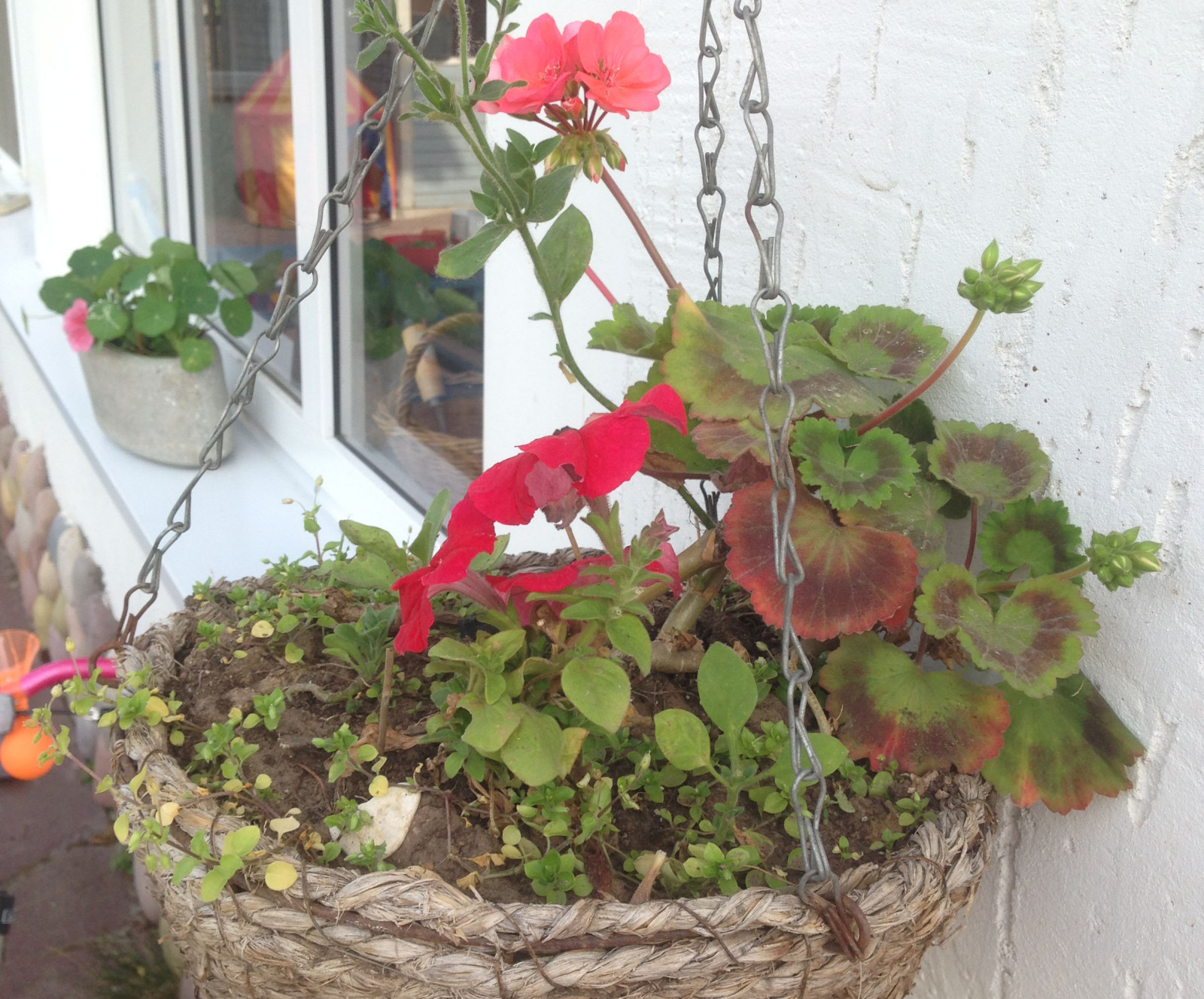 Весёлая деревня