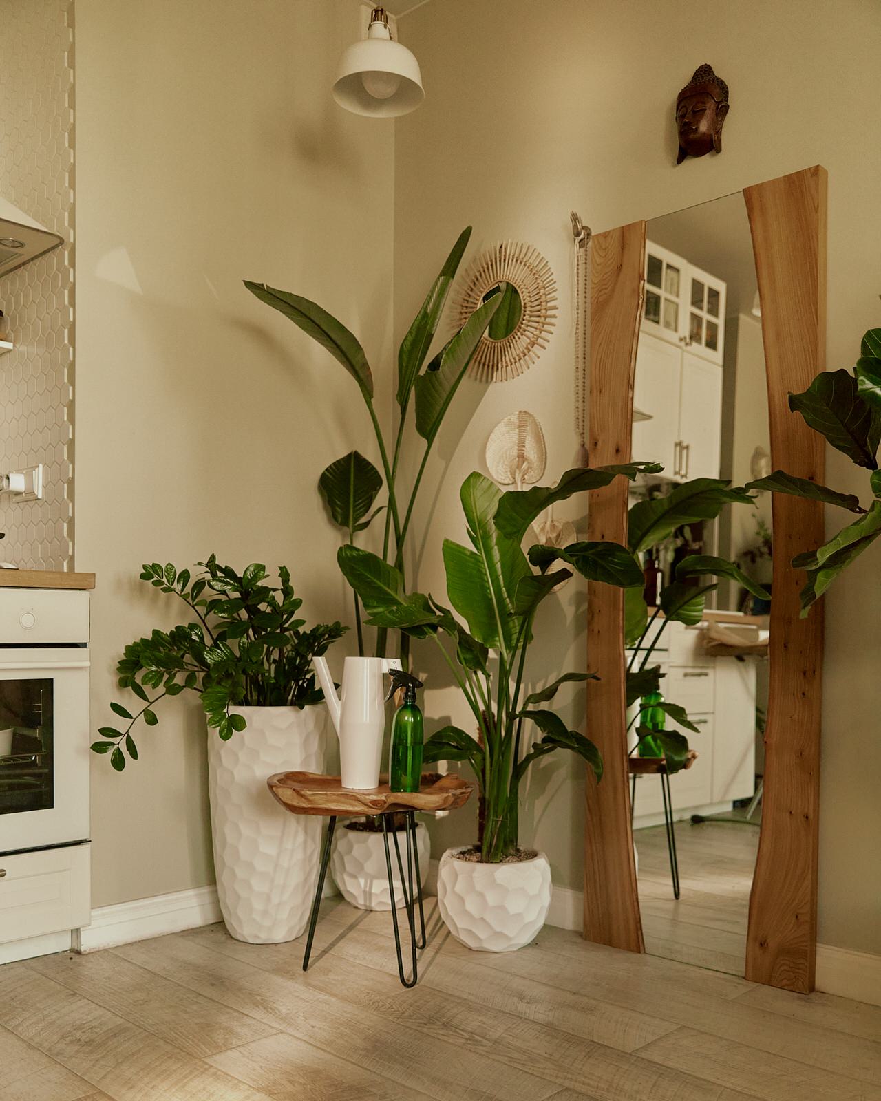 Озеленение квартиры-студии