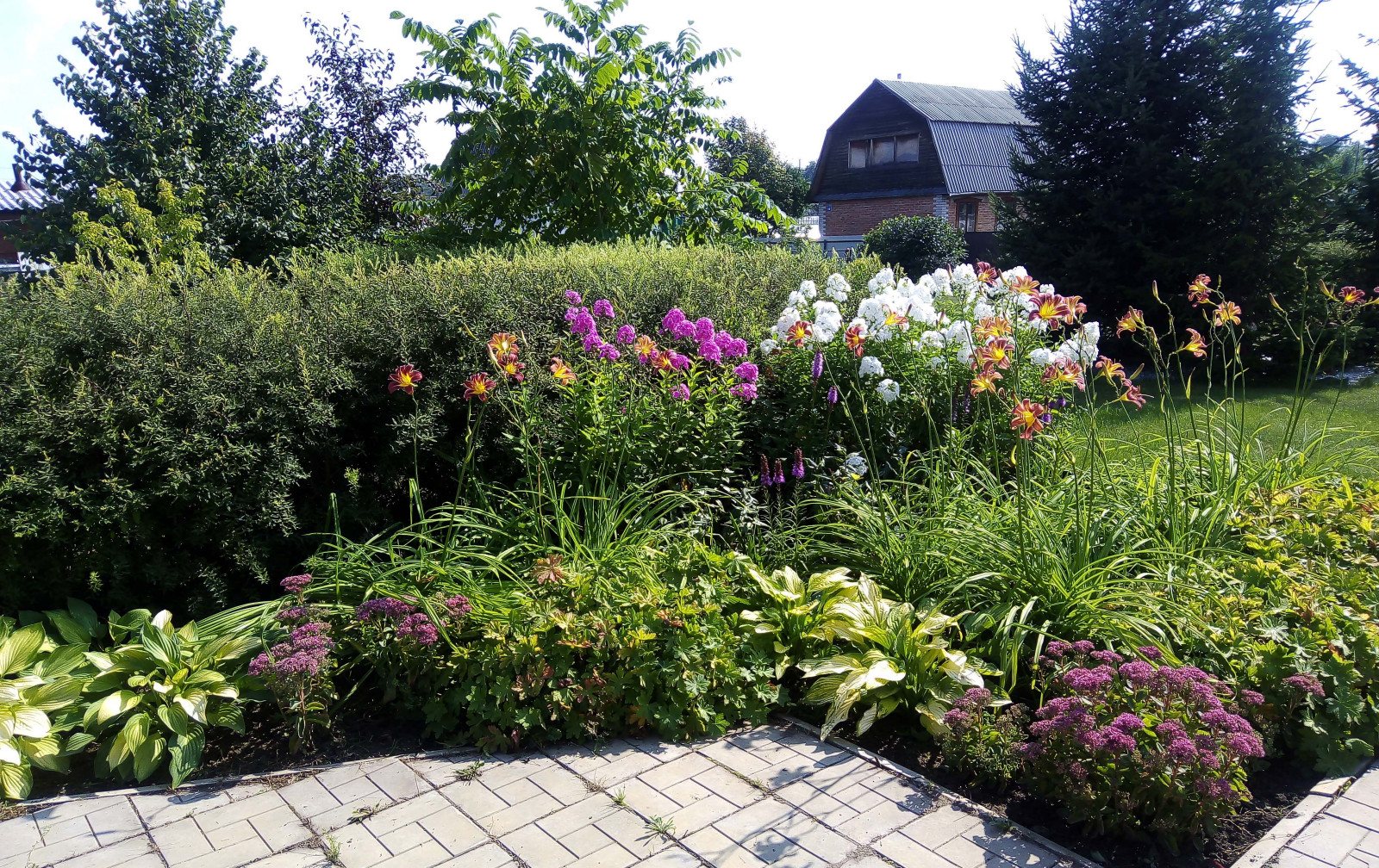 Цветник из многолетников