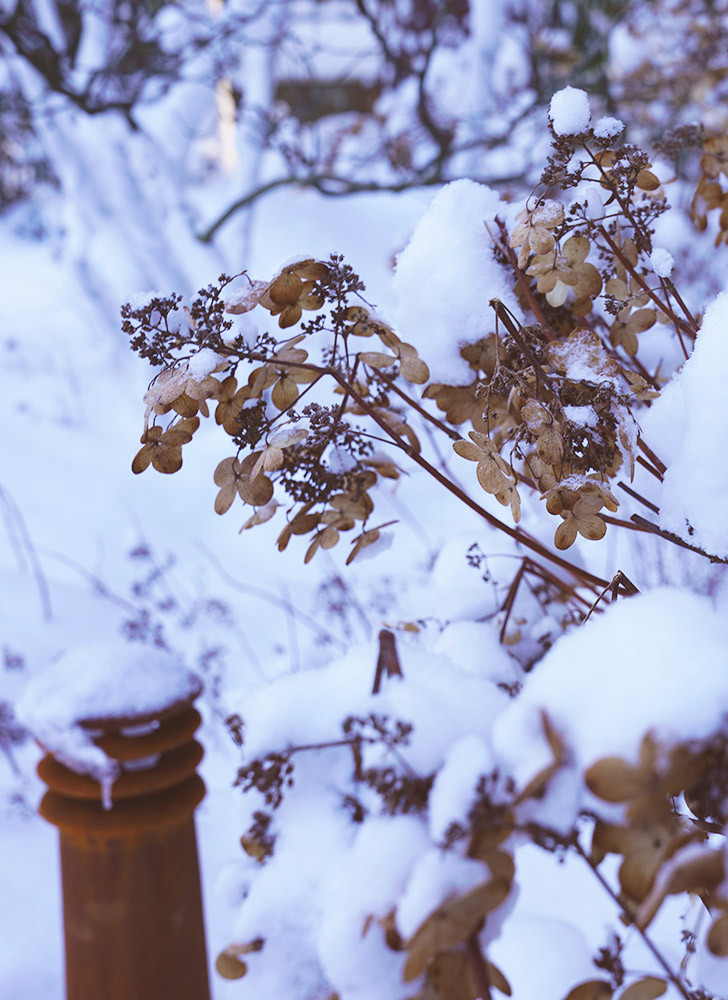 Мечта об Альпах. КП Вымпел 2016