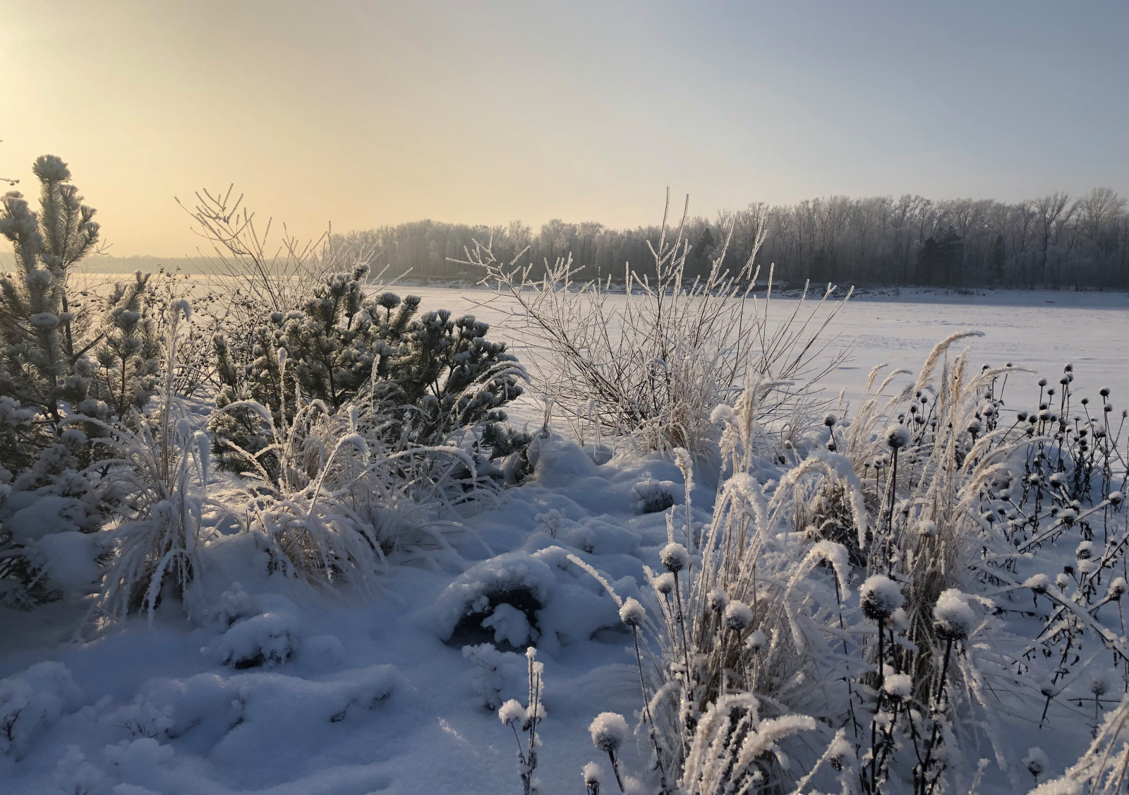 Сад Кроличья нора. Зима