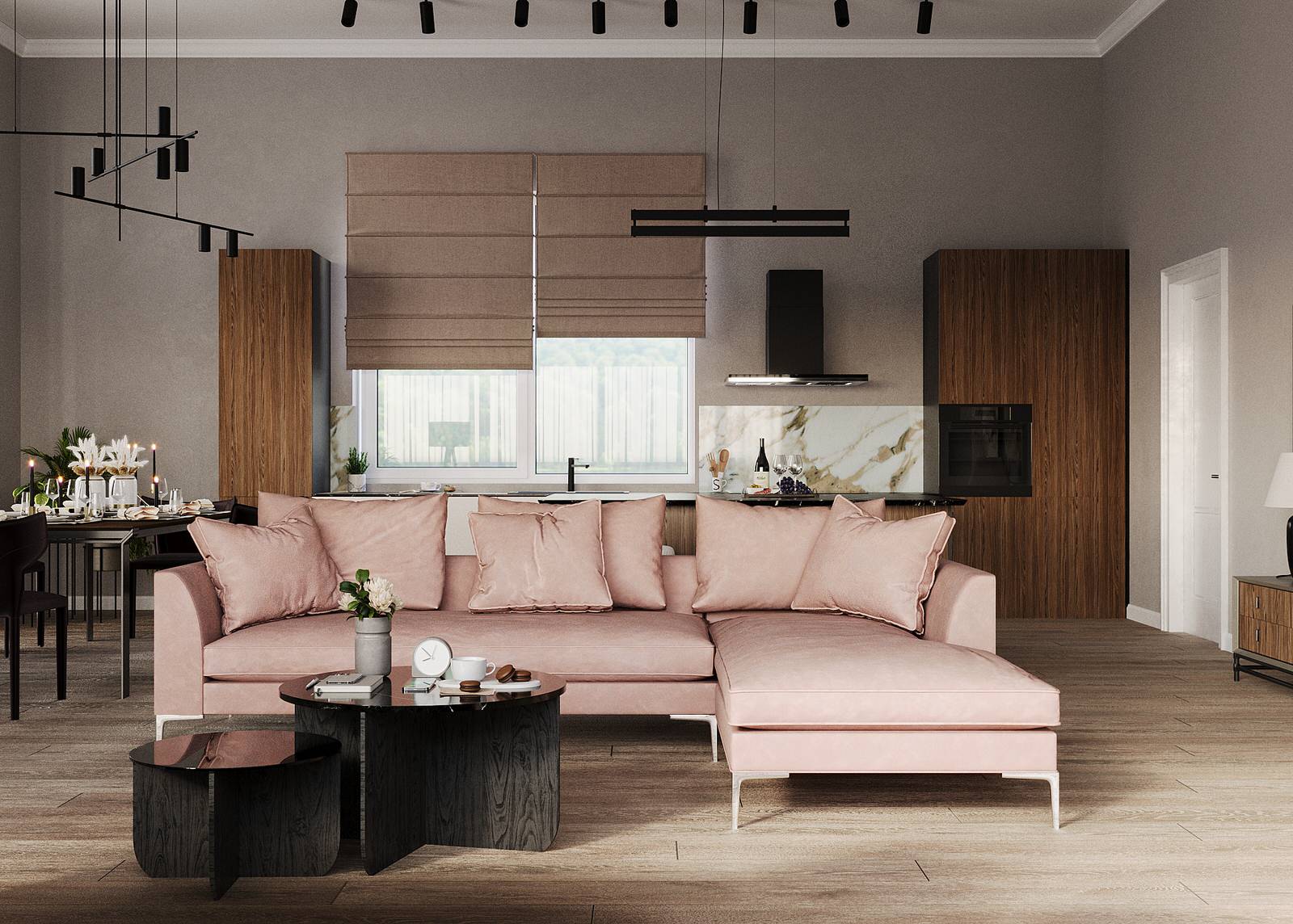 Индивидуальный проект частного дома