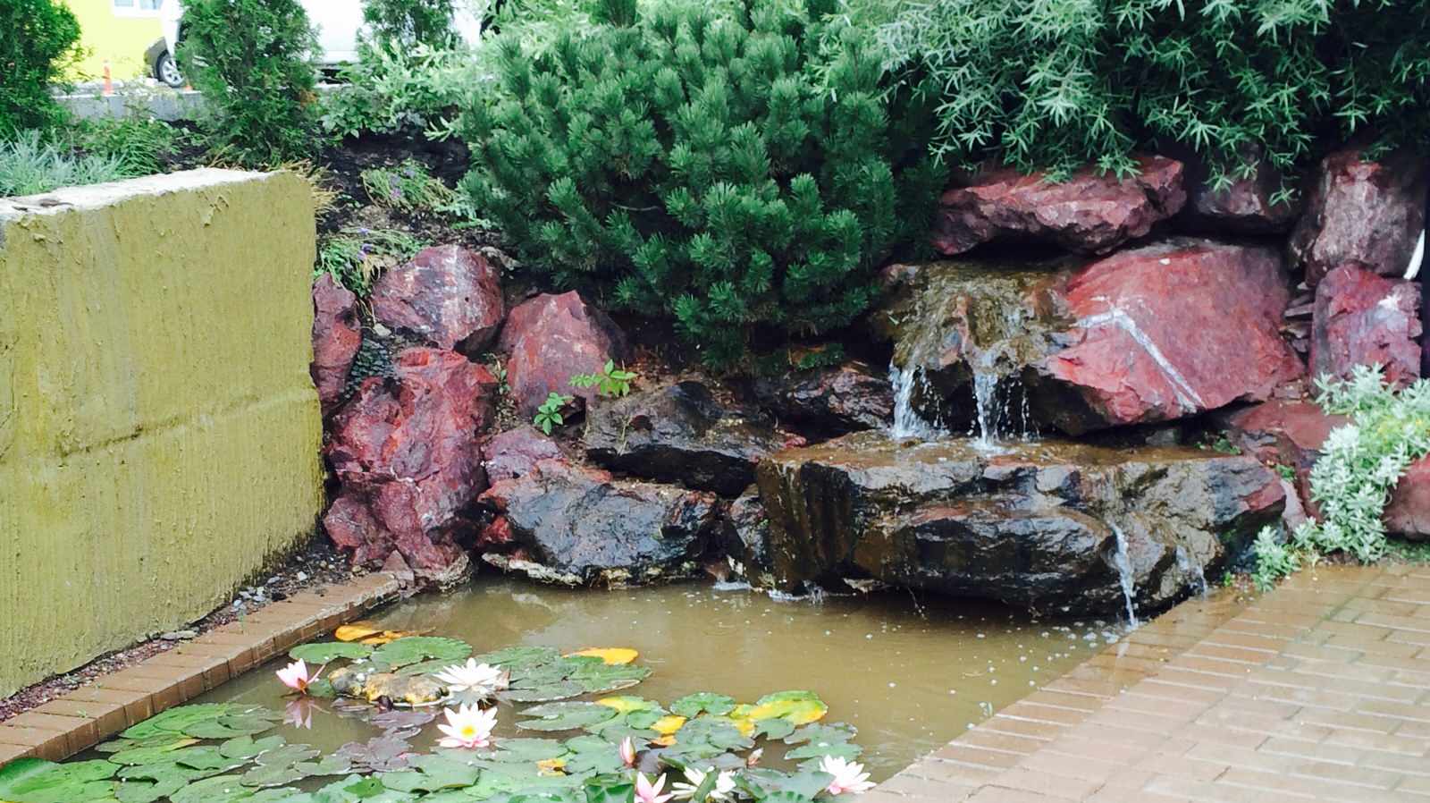 Фоновое изображение профиля Илья Панков