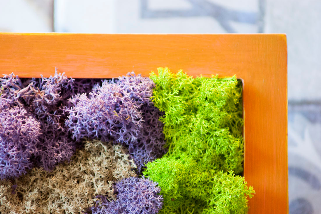 Фитокартины из мха