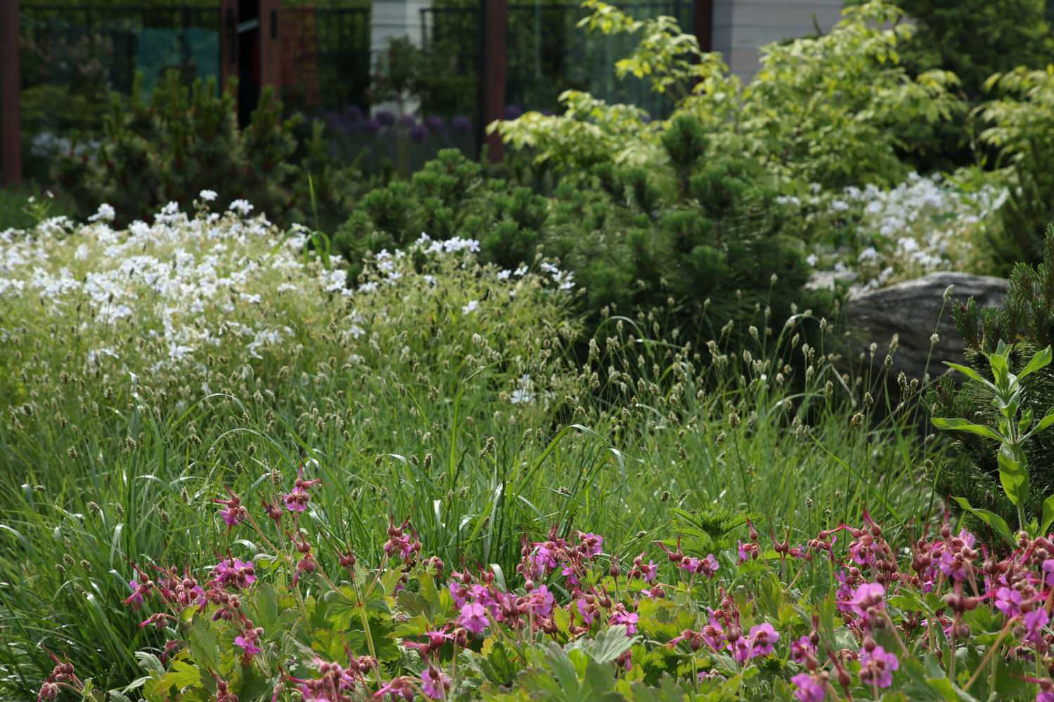 Обложка проекта: Северо-Запад