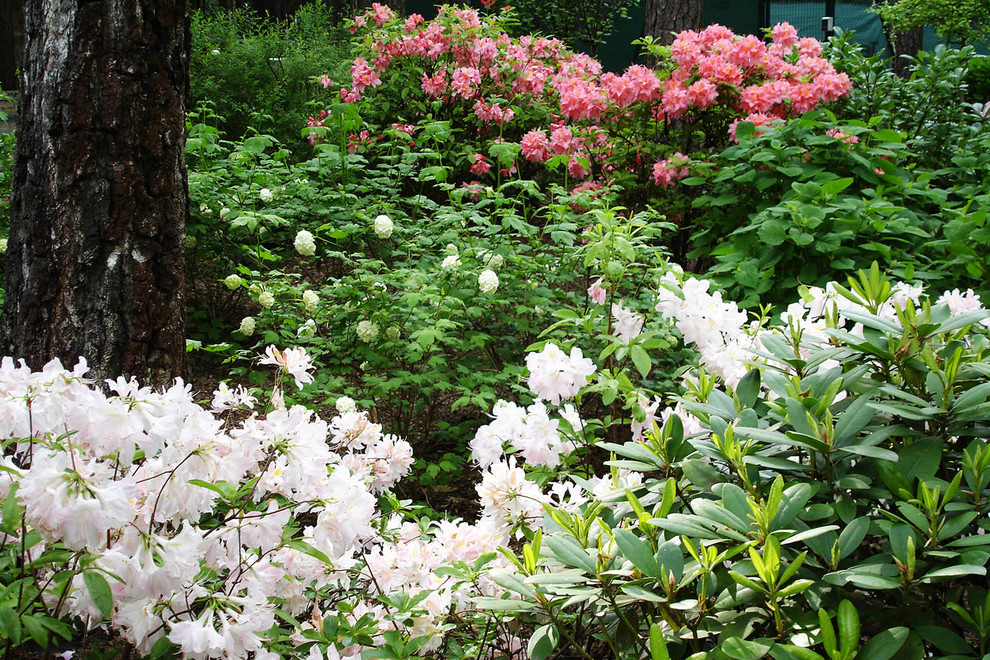 Сад с водоемом в КП " Сосновый Бор"