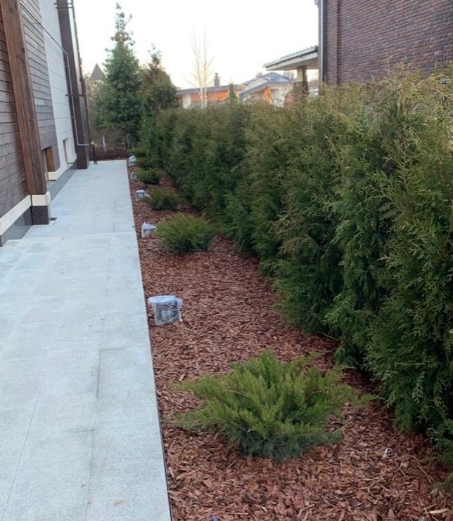 Обложка проекта: "У Воды"