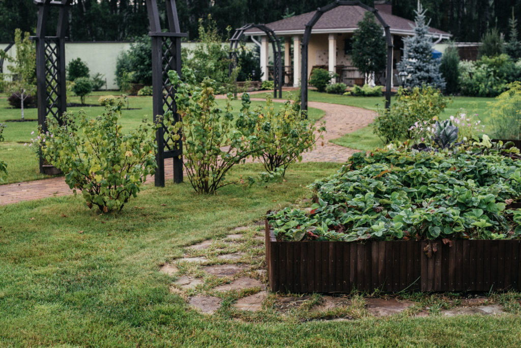 Фоновое изображение профиля Татьяна Лазарева