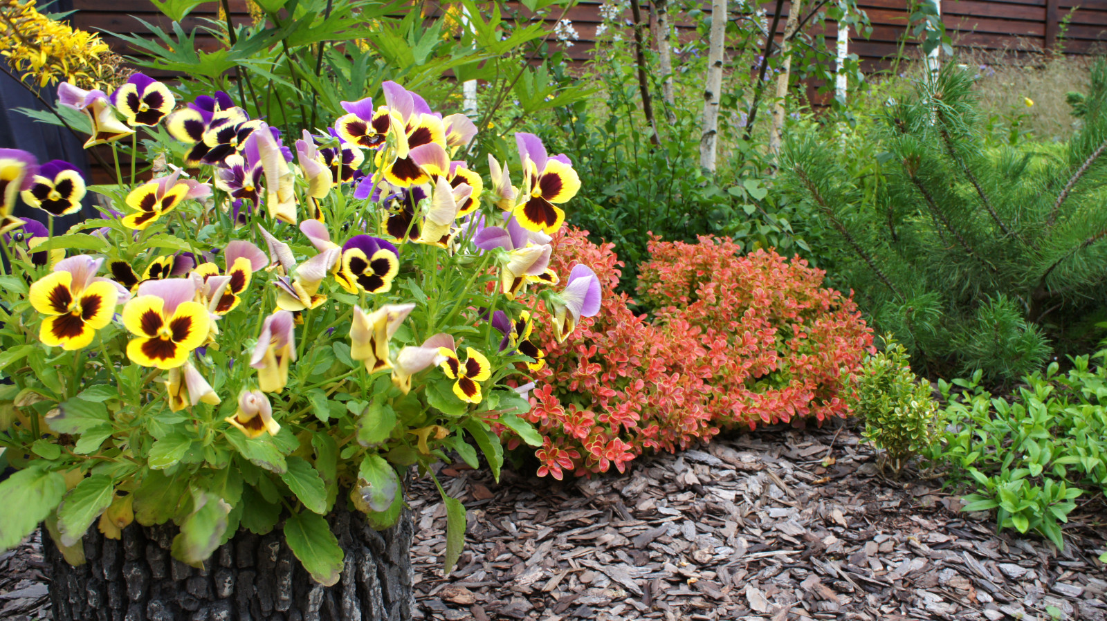 Цветники и композиции крупным планом
