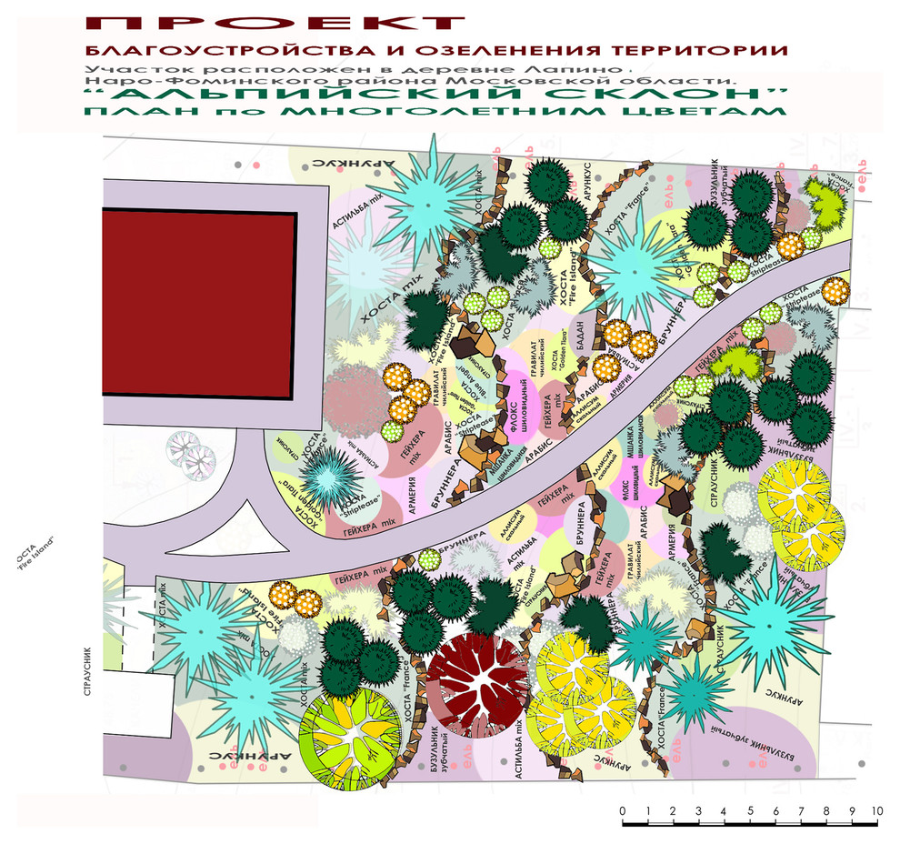 Проект участка - альпийская горка - альпийский склон - план по многолетникам.
