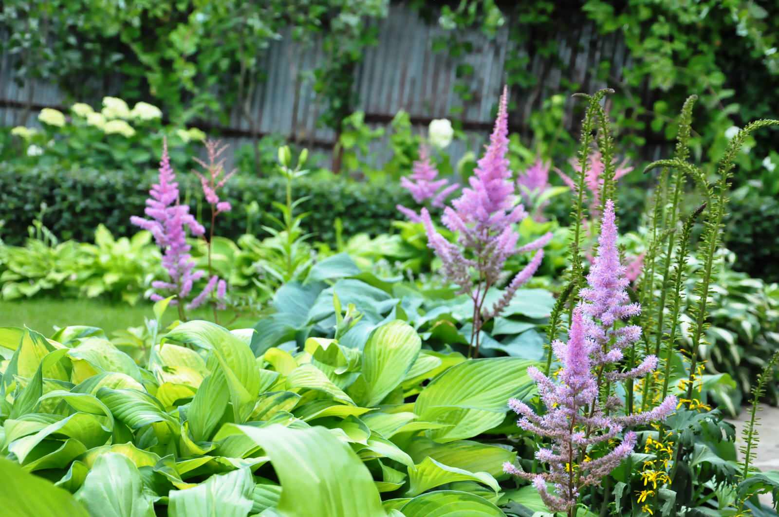 д. Громково - Уход за садом - 100% качество