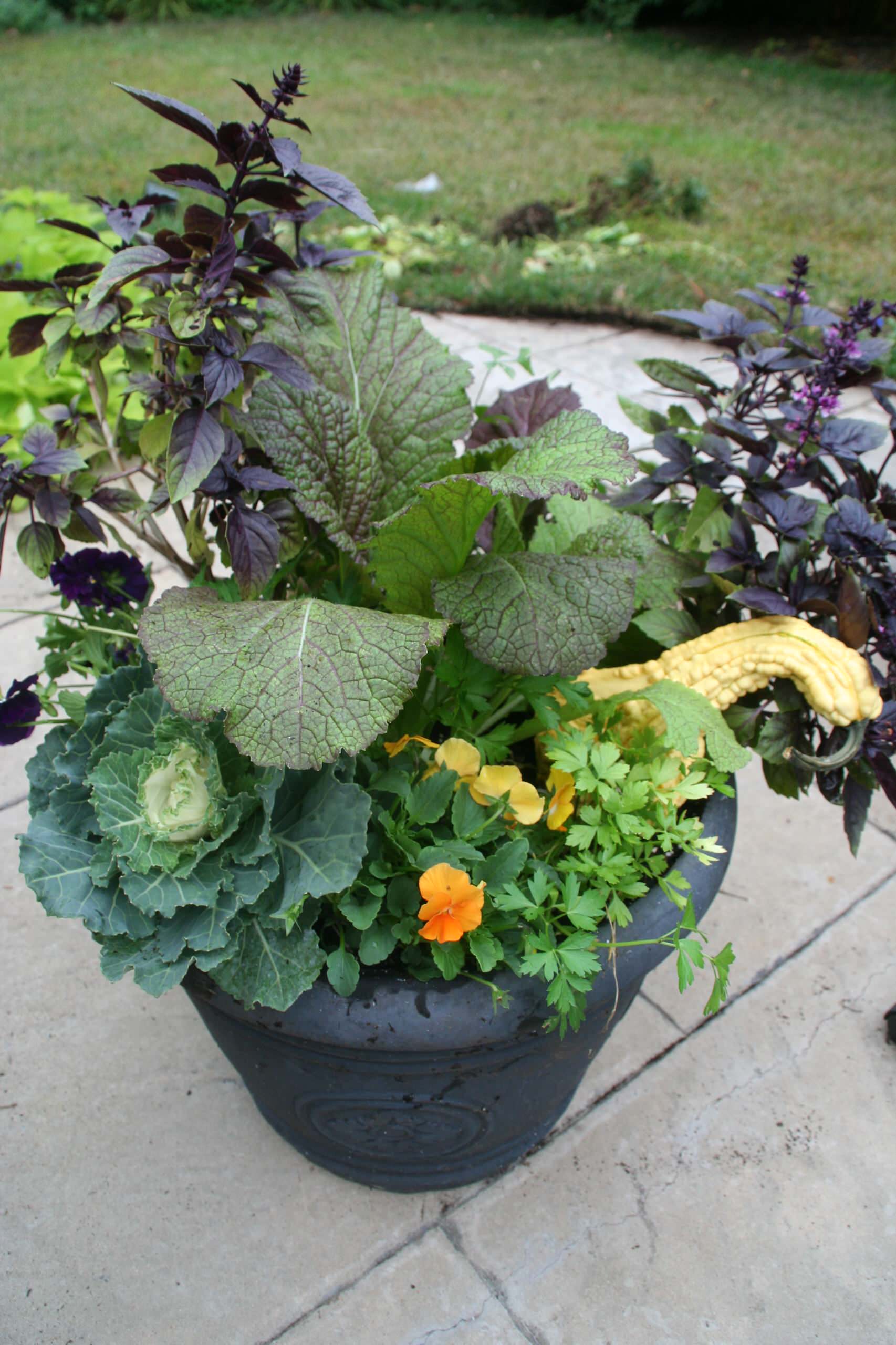 Итак, вы купили дачу... Что делать дальше?