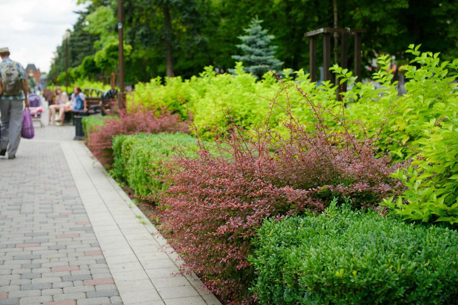 Бульвар на ул. Красной