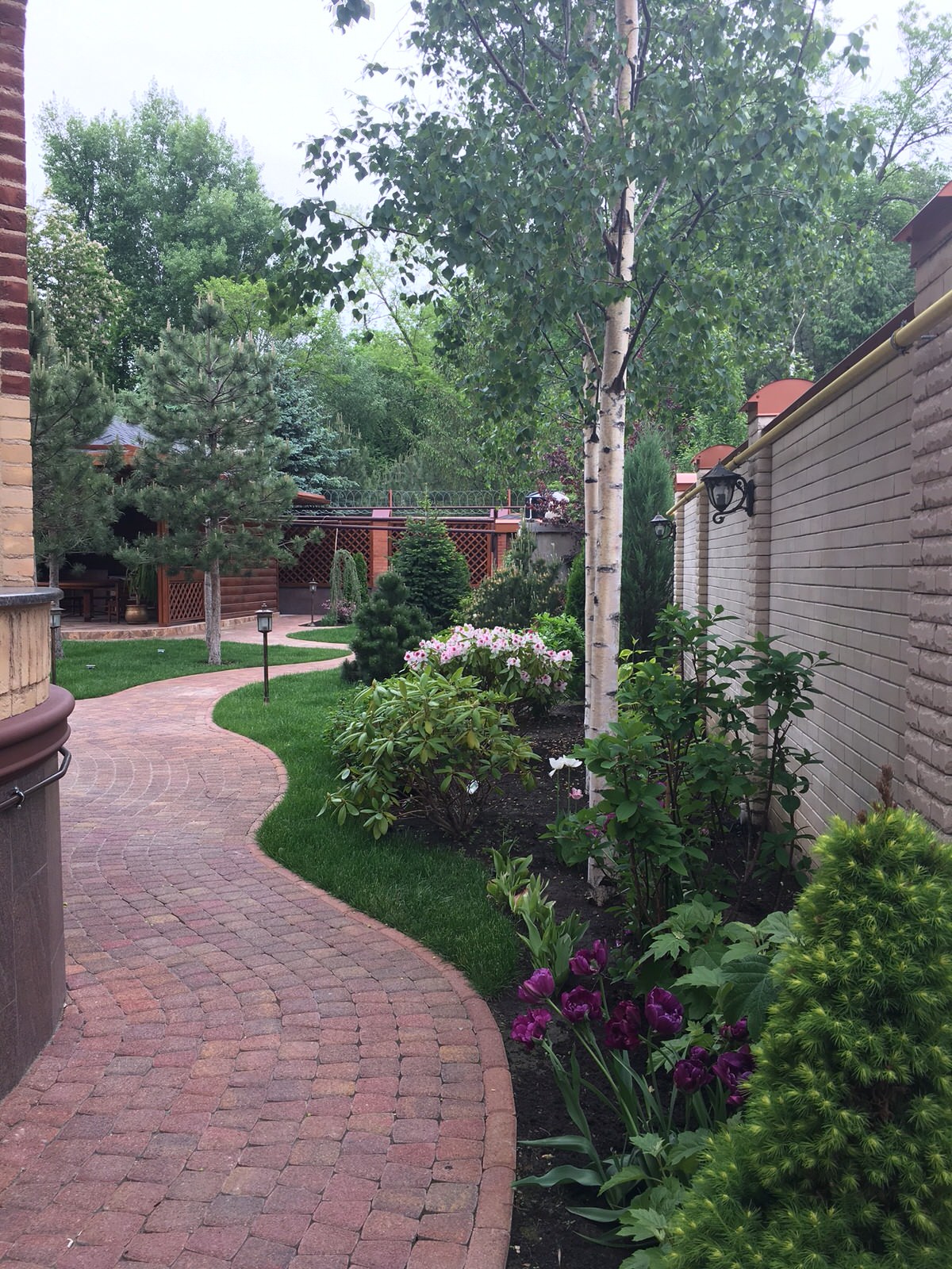 Сад большом городе