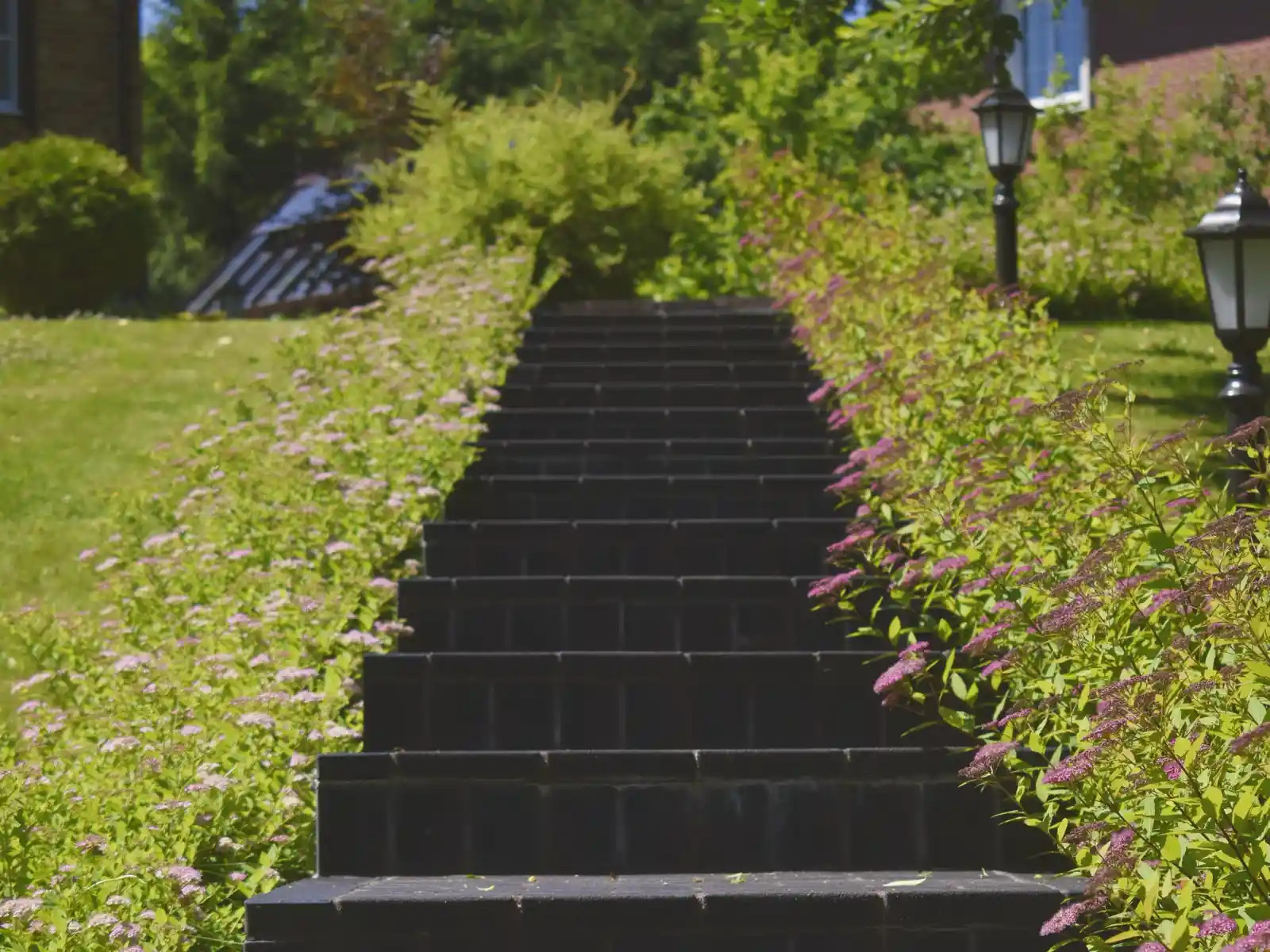 «САД ТРЕХ ПОКОЛЕНИЙ»