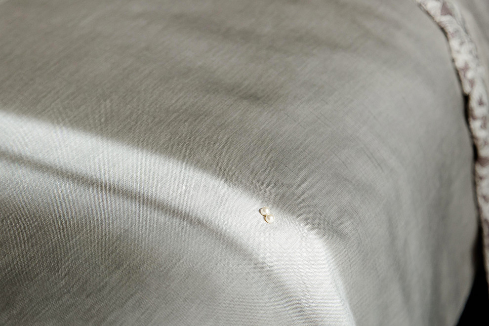 Квартира утонченного искусствоведа