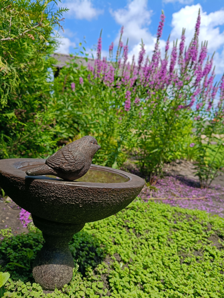 Сад в коттеджном поселке