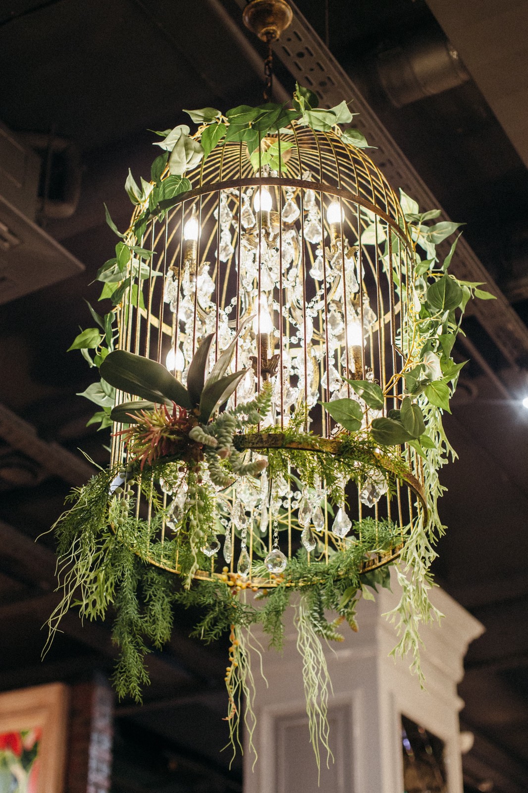 Люстра с элементом озеленения