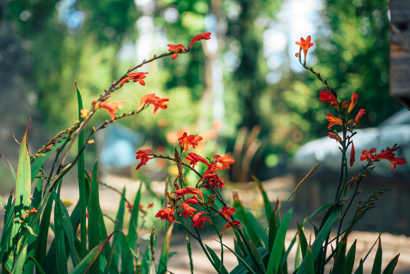 Колыбельная