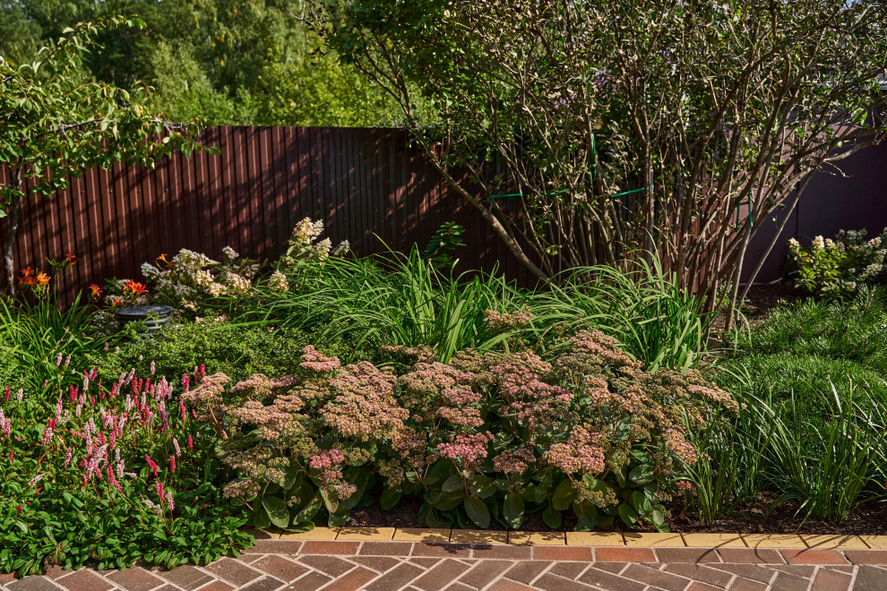 Сад в розовой дымке