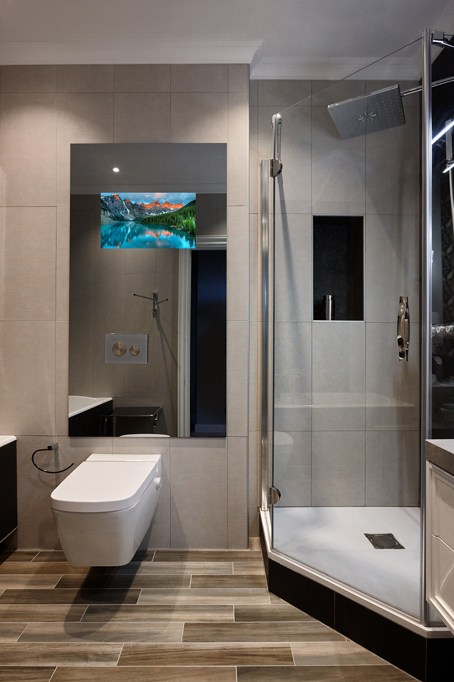 Обложка проекта: Зеркальный телевизор в санузле