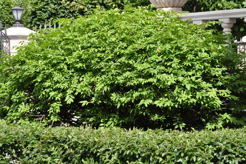 кп "Романово" - Уход за садом - 100% качество