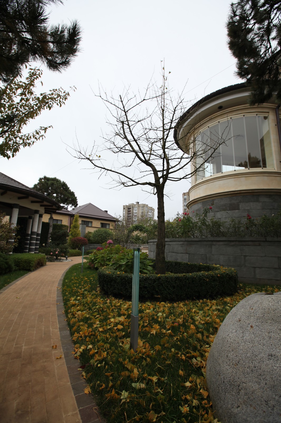 Итальянский сад с пиньями в городе