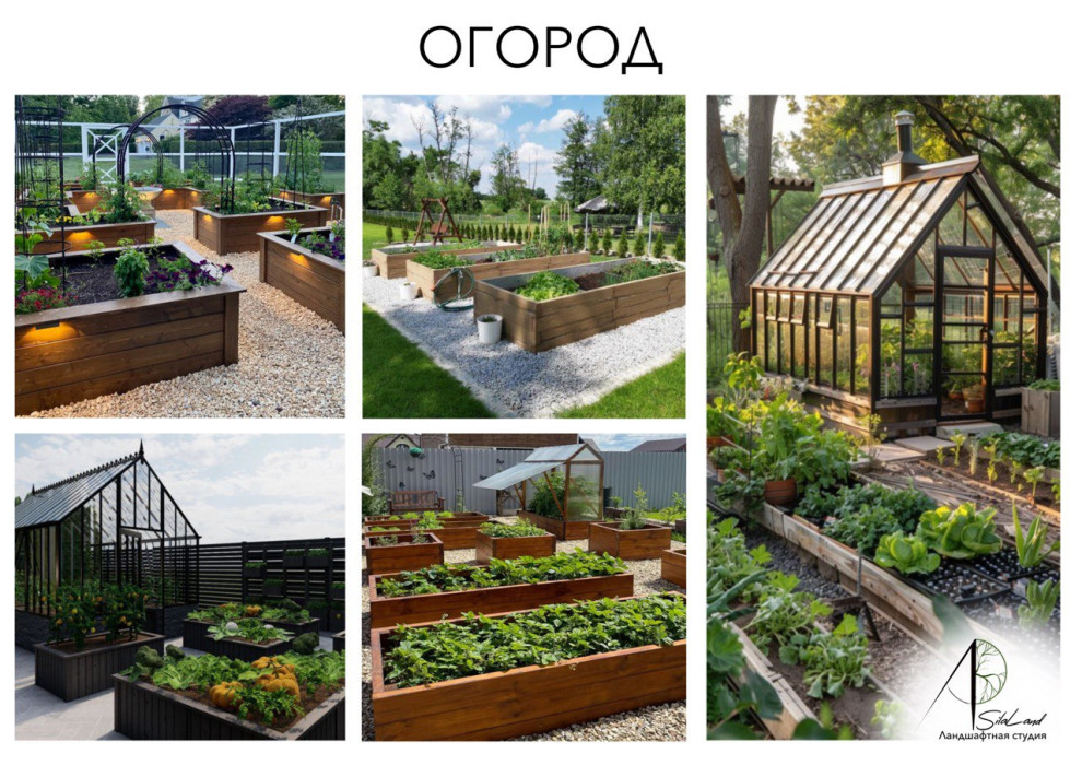 Солнце в кронах