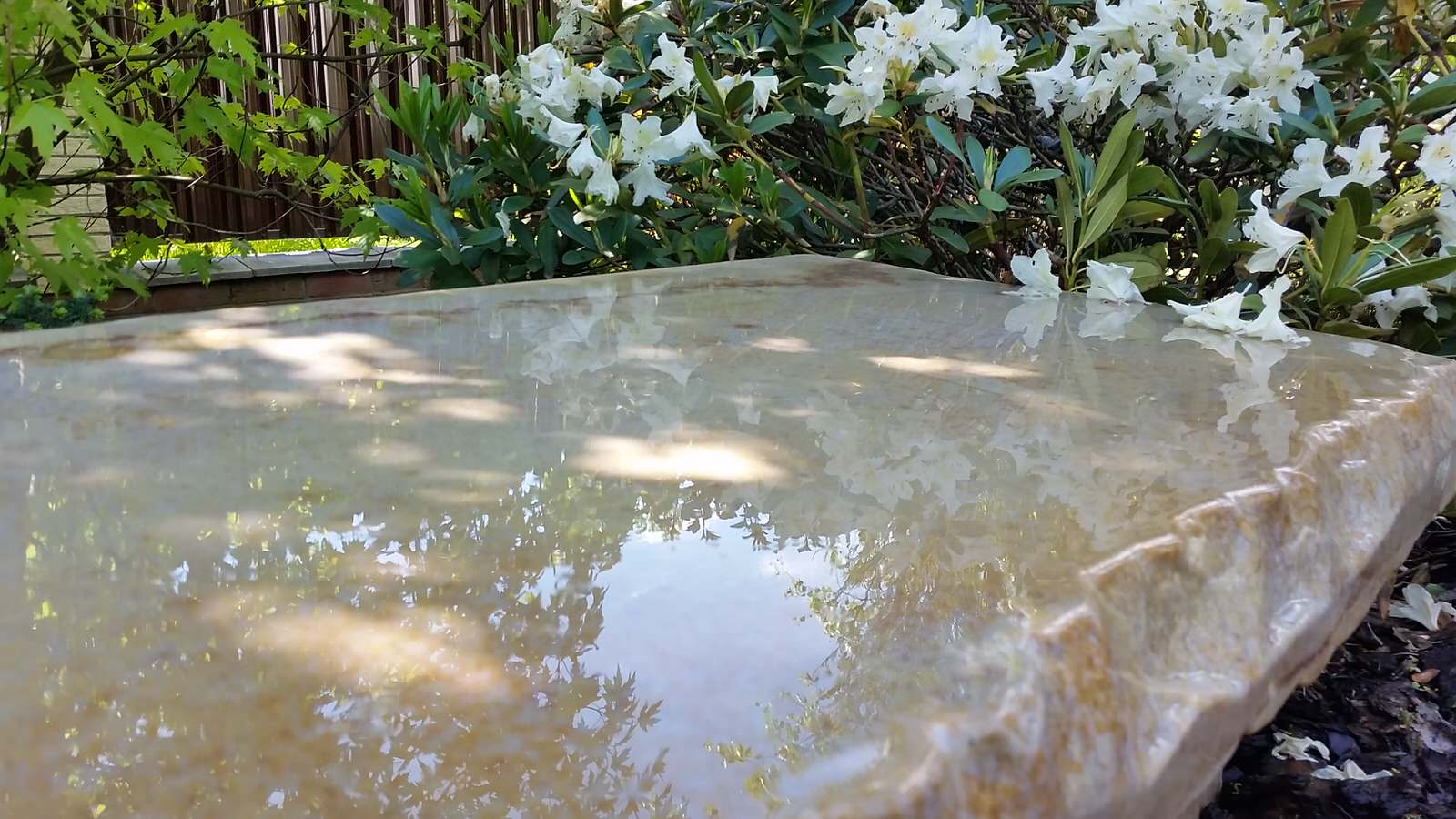 Ландшафтный проект 5