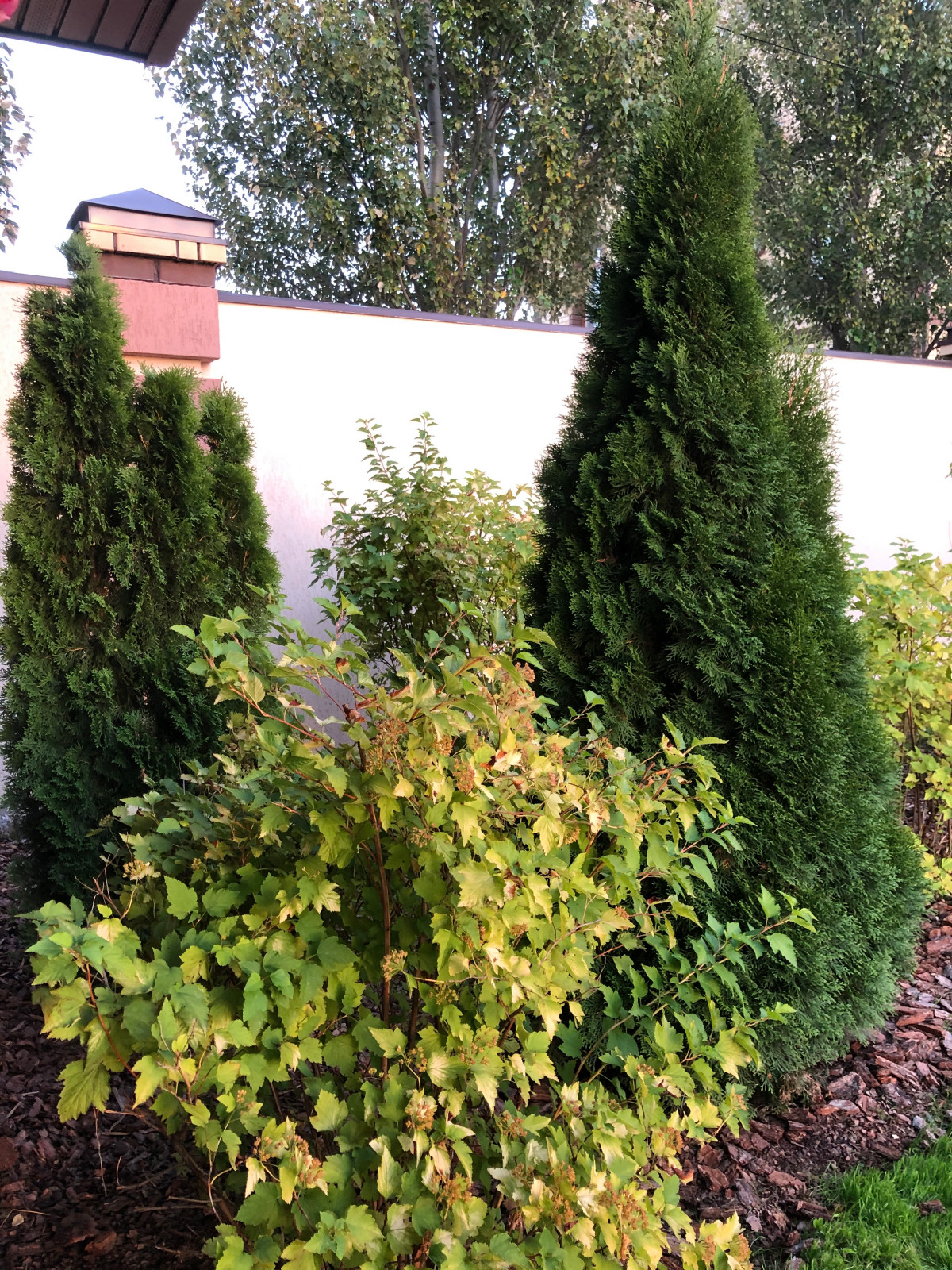 Волны и круг