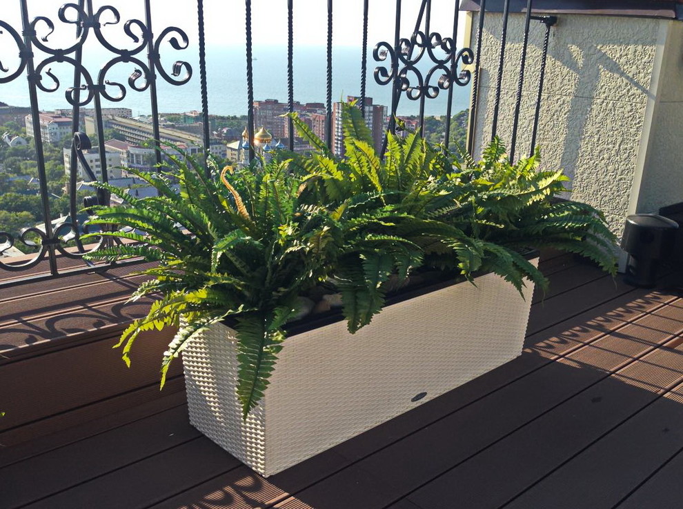 Озеленение частной крыши