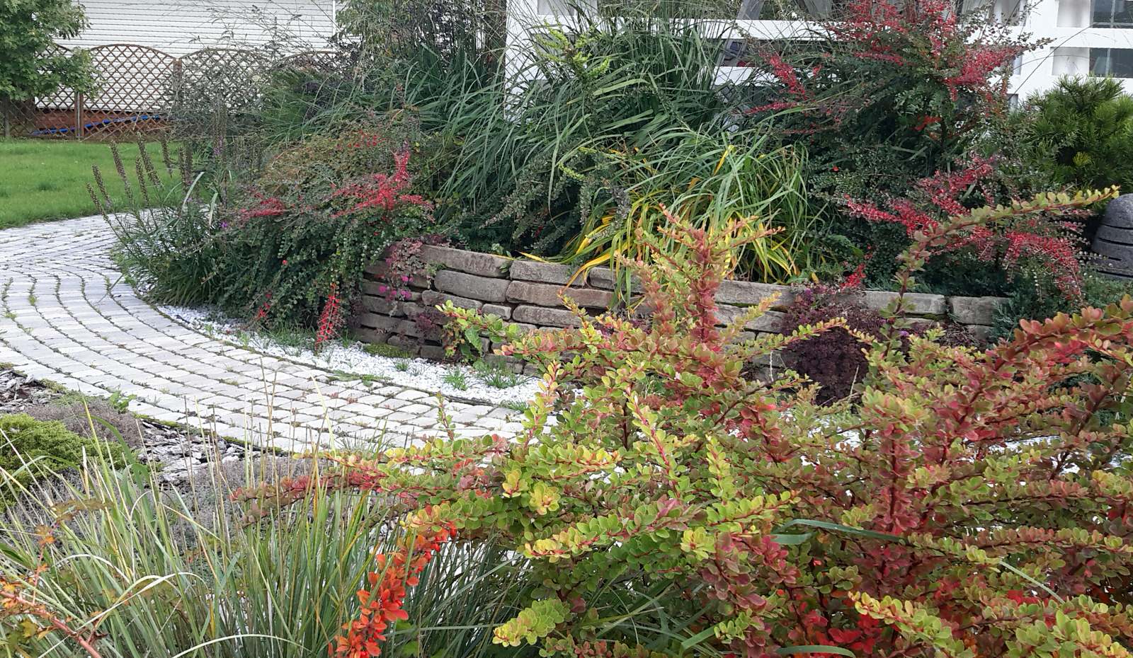 Сад на краю деревни.