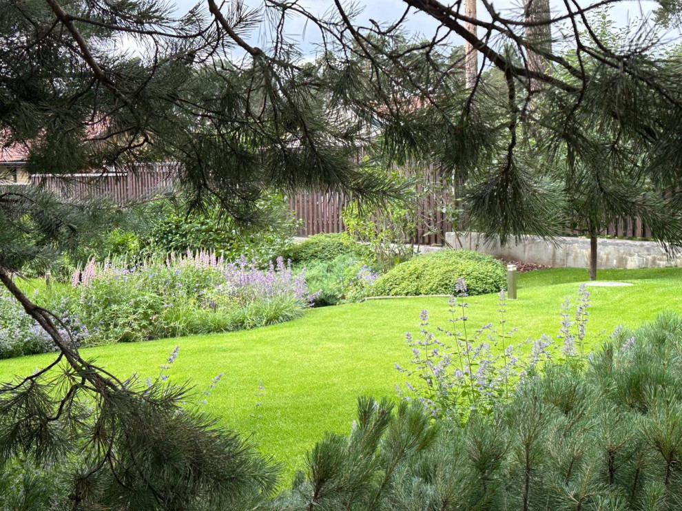 Золотой карп