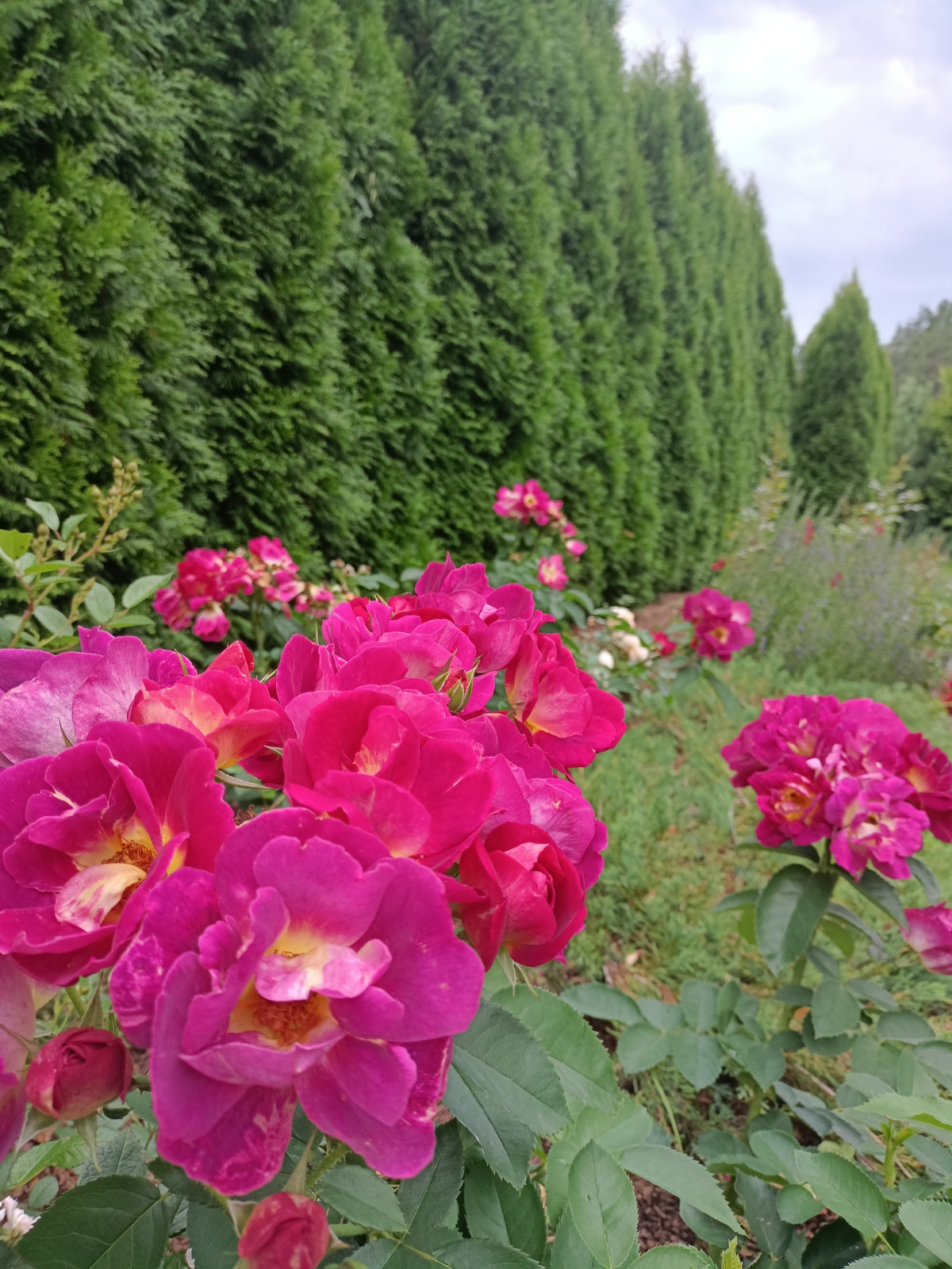 Дом в поселке Газпром