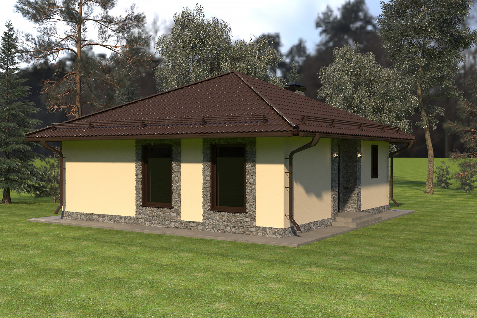 Частный дом 100 х 100