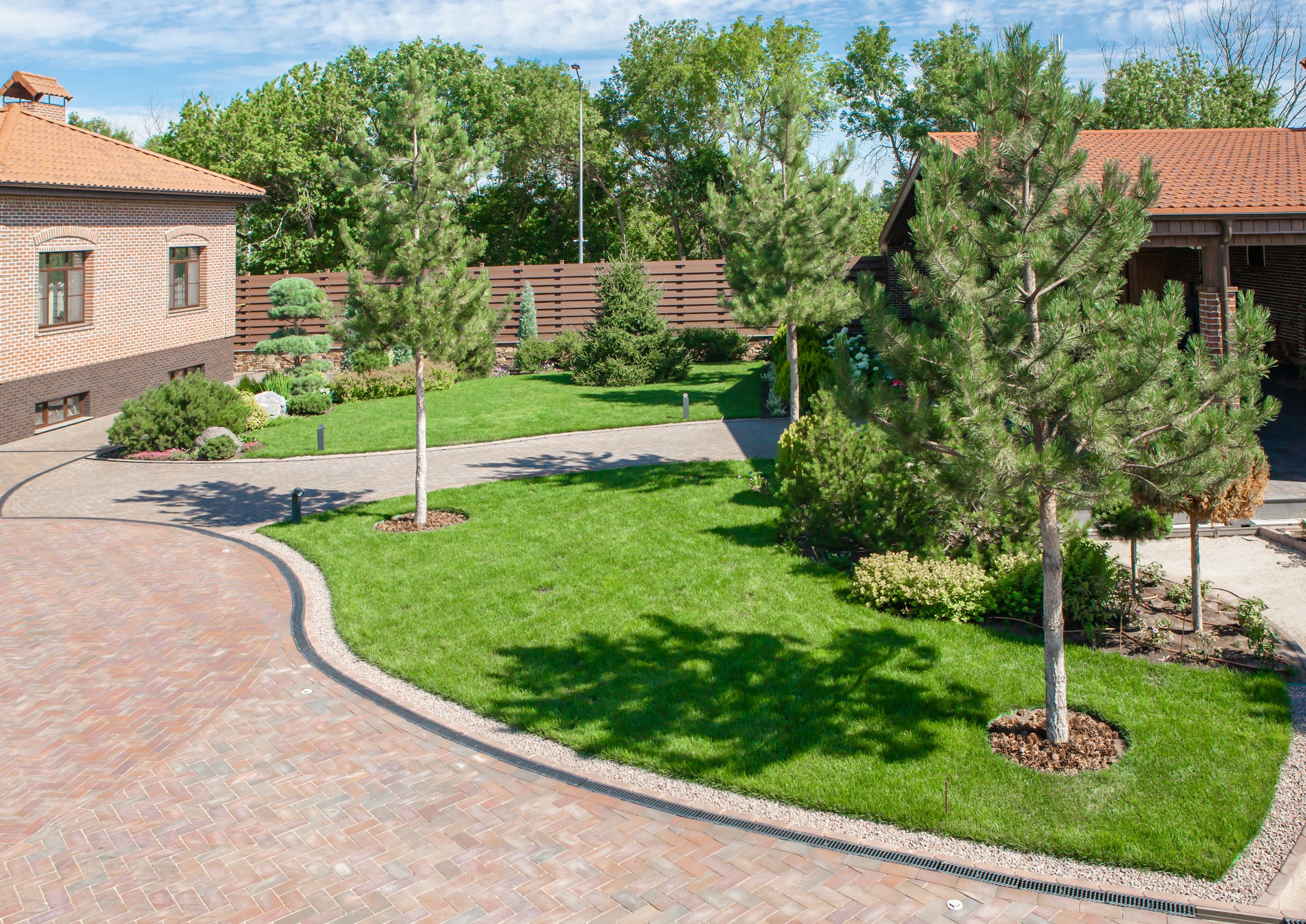 Обложка проекта: "Сосновая история"